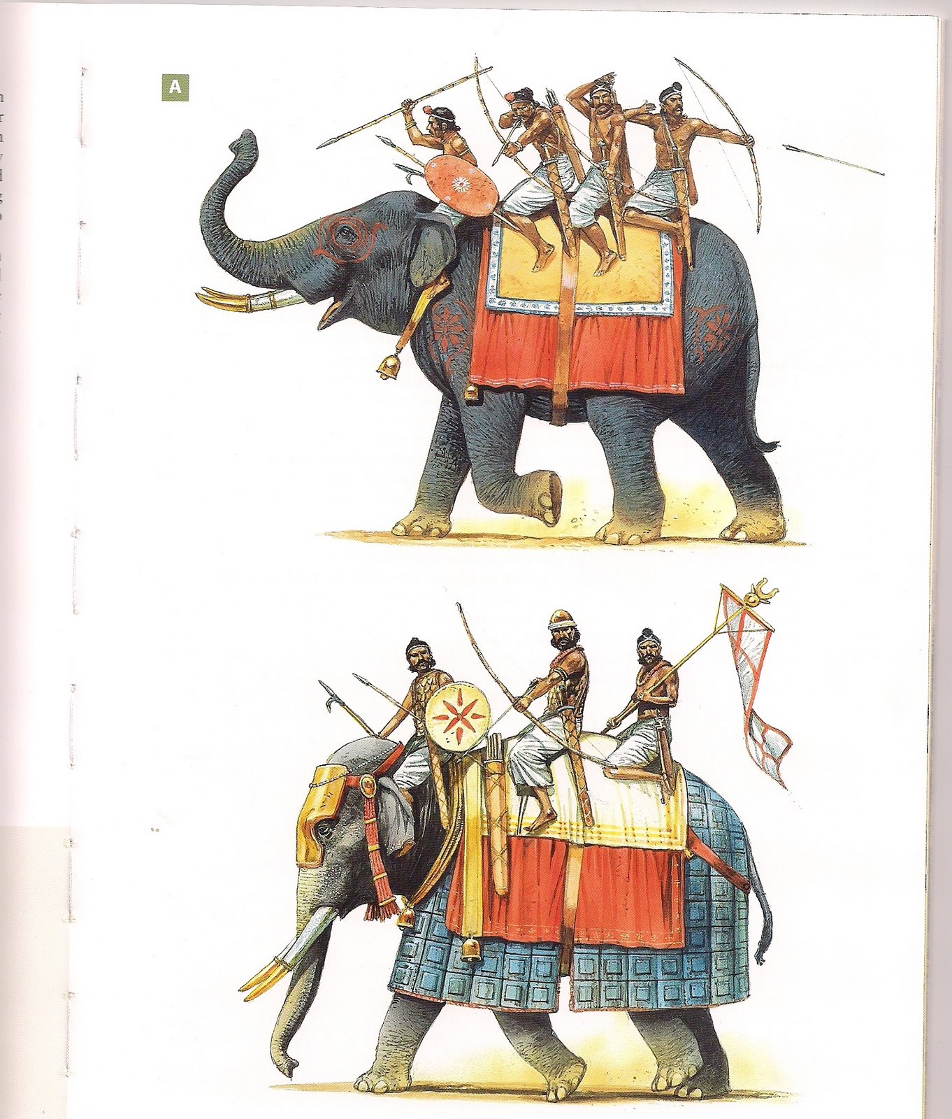 war elephants